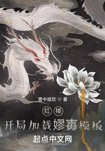 红楼:开局加载蹦0逑略