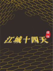 江城十四小学教学好吗