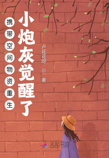 携带空间物资重生:小炮灰觉醒了 小说