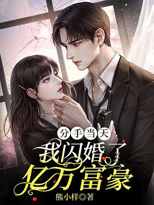 分手当天我闪婚了亿万富豪完结
