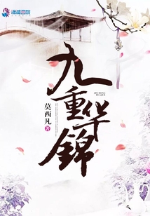 九重华锦txt百度网盘