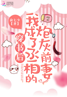 穿书后我成了丞相的炮灰前妻 小说